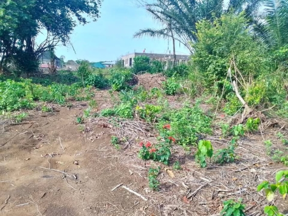 Terrain titré à vendre à Japoma Douala